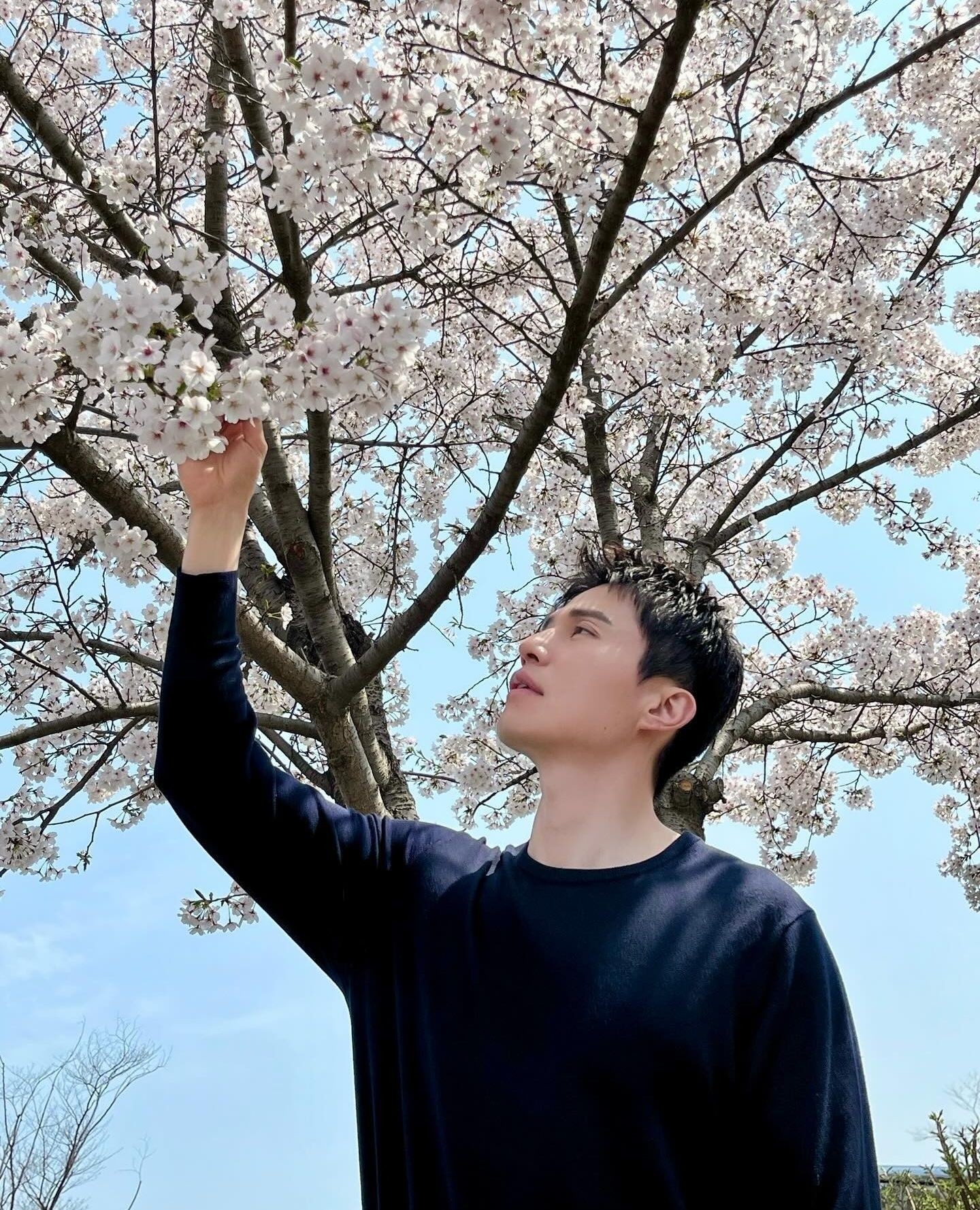 똑같은 벚꽃인데 난 왜..🌸📸⁠ 이미지