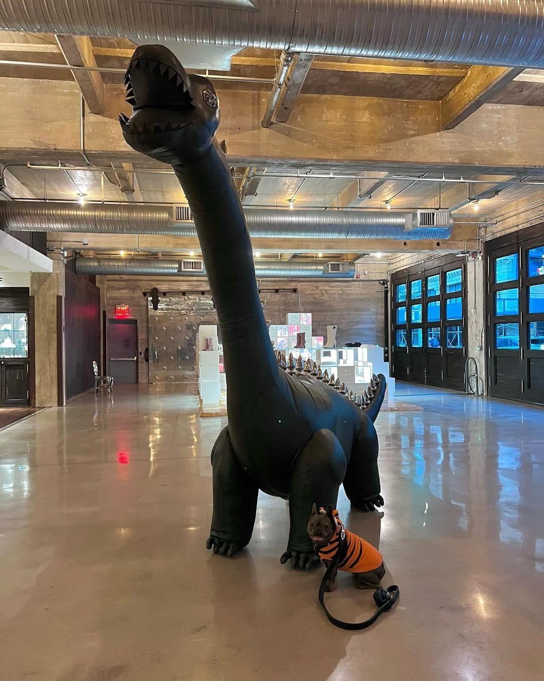 포스 넘치는 크롬하츠 공룡🦕 이미지7