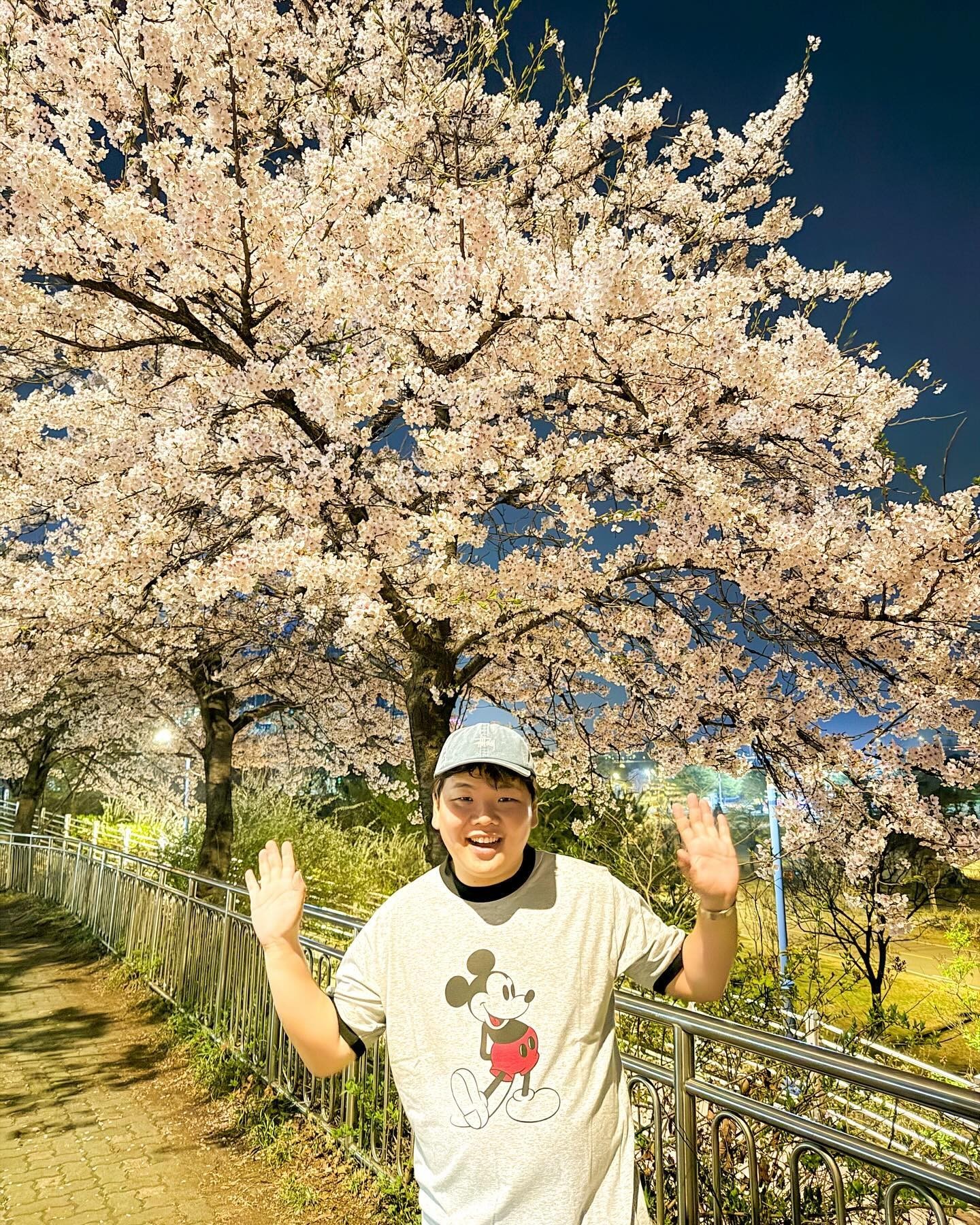 똑같은 벚꽃인데 난 왜..🌸📸⁠ 이미지