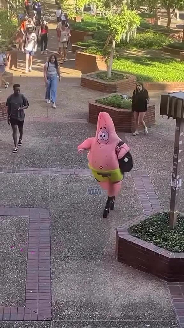 아무도 신경 안쓰는게 찐 광기🤪🍤⁠ 이미지