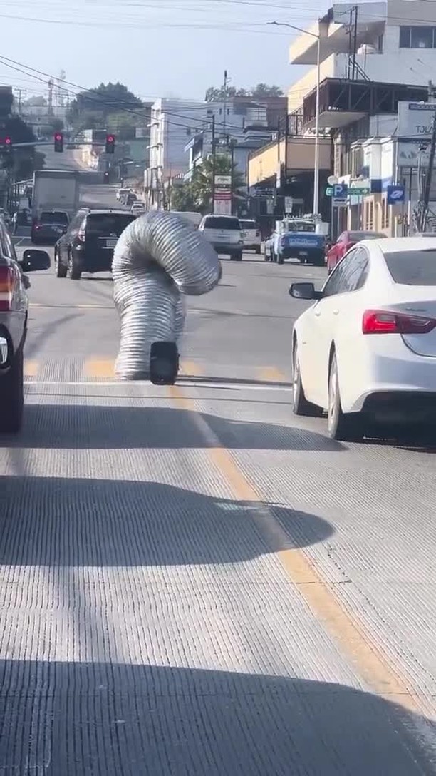 패션쇼가 끝난 컬렉션 100% 활용하기👍🏻🪩⁠ 이미지