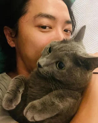 집사의 일상🐈‍⬛⁠ 이미지