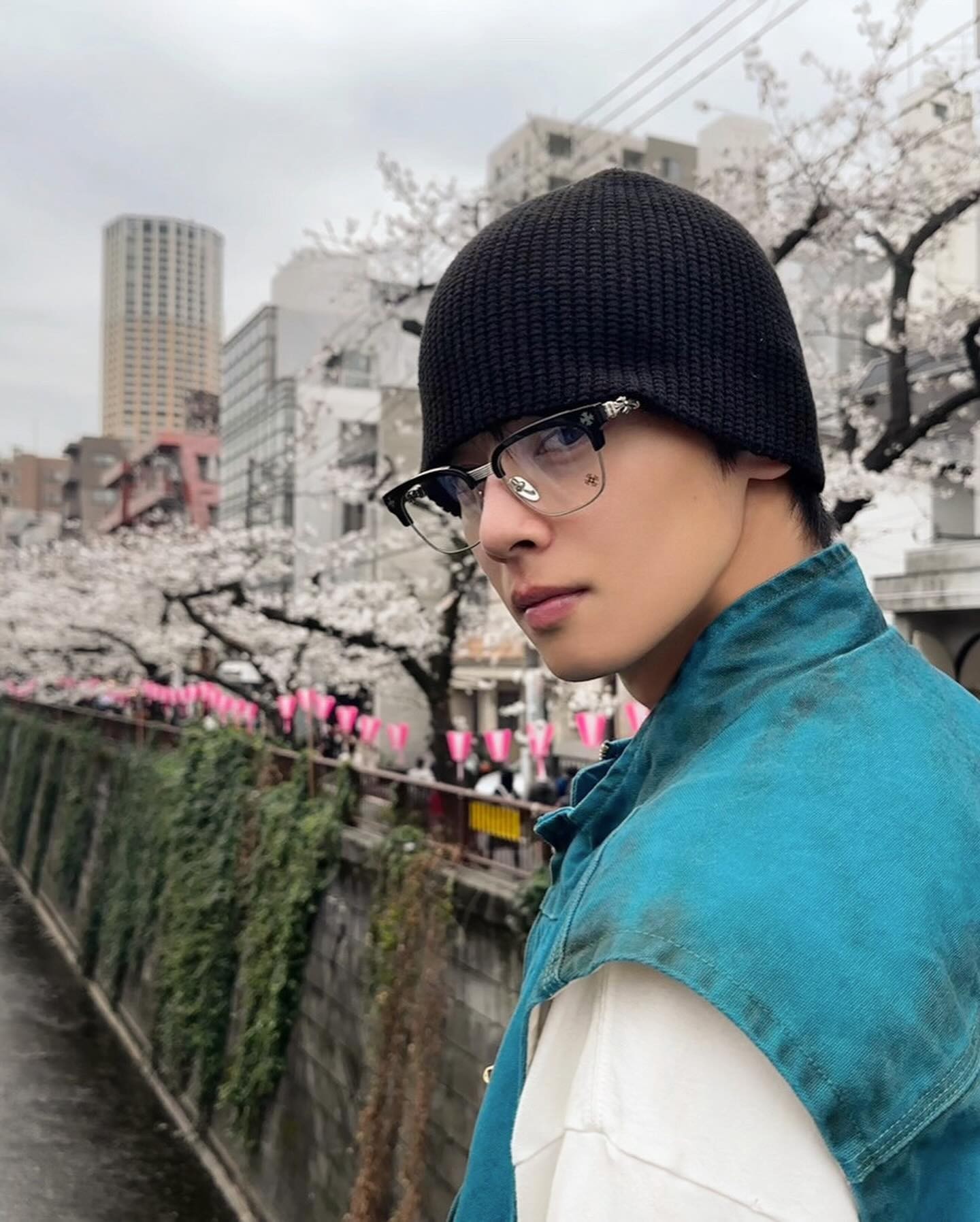 똑같은 벚꽃인데 난 왜..🌸📸 이미지2