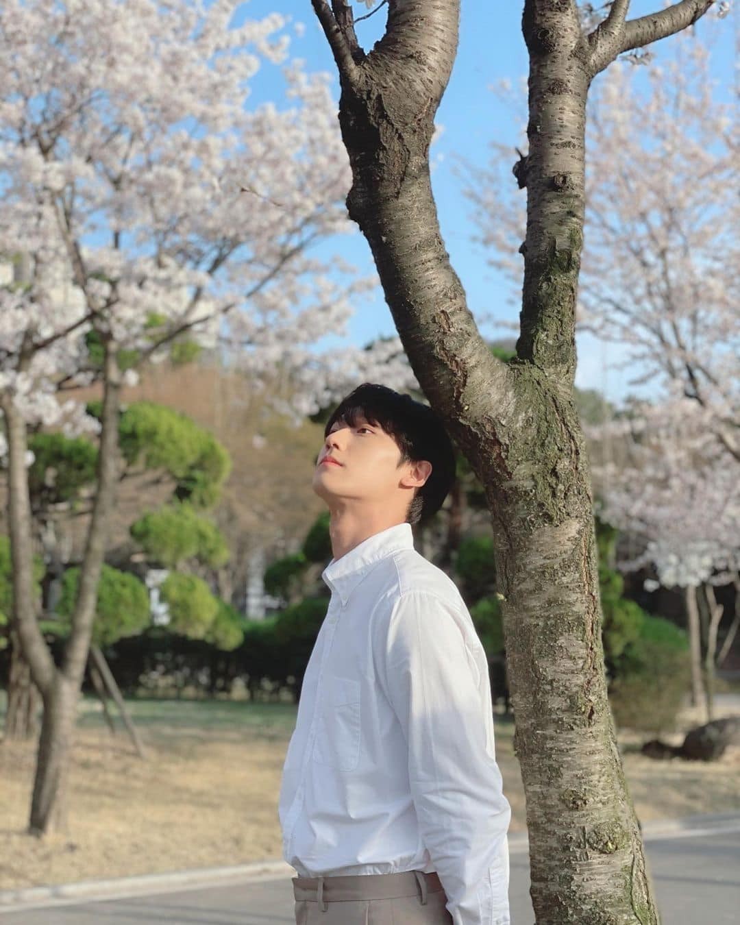 벚꽃 앞에서 사진 남기기📸🌸⁠ 이미지