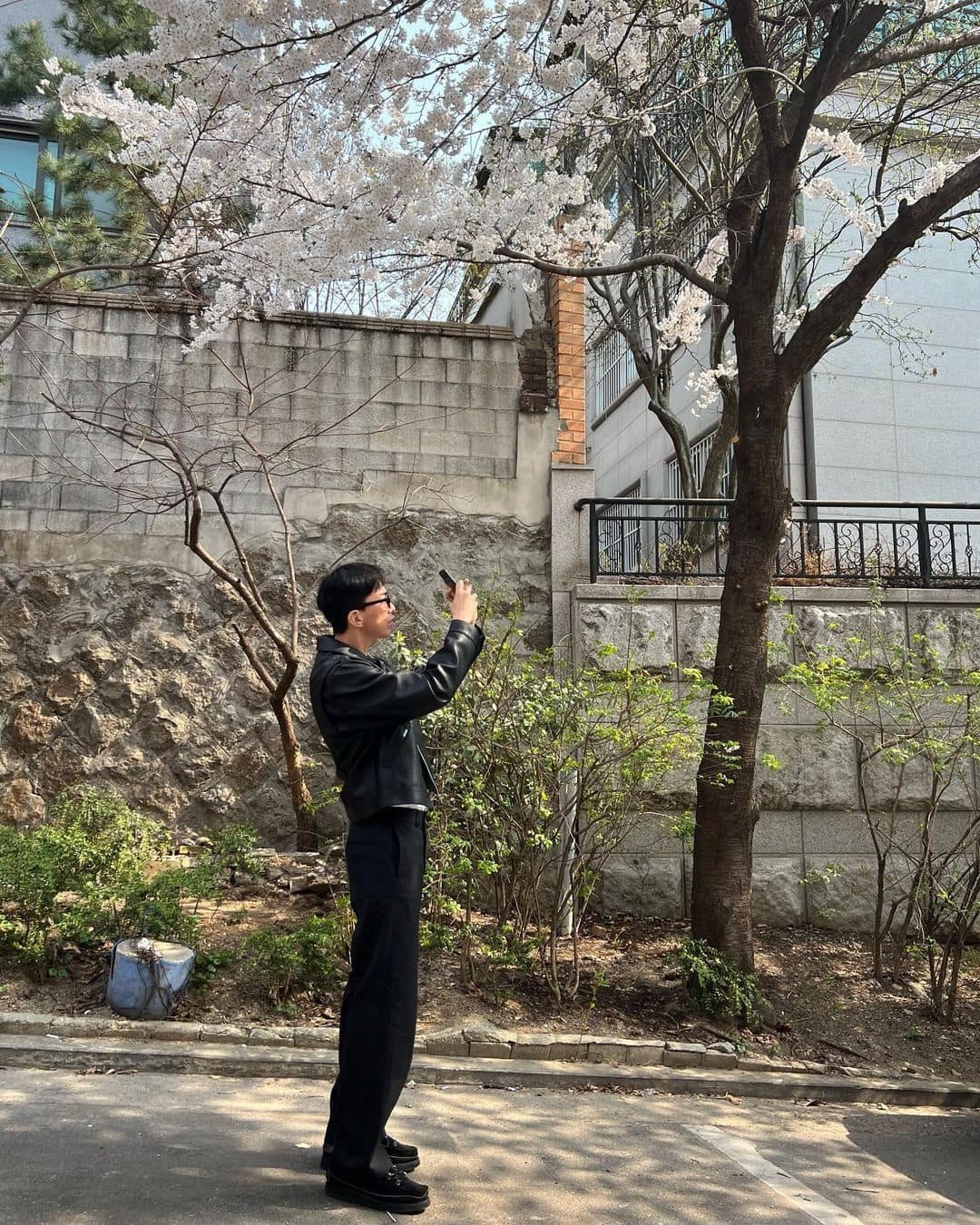 벚꽃 앞에서 사진 남기기📸🌸⁠ 이미지4
