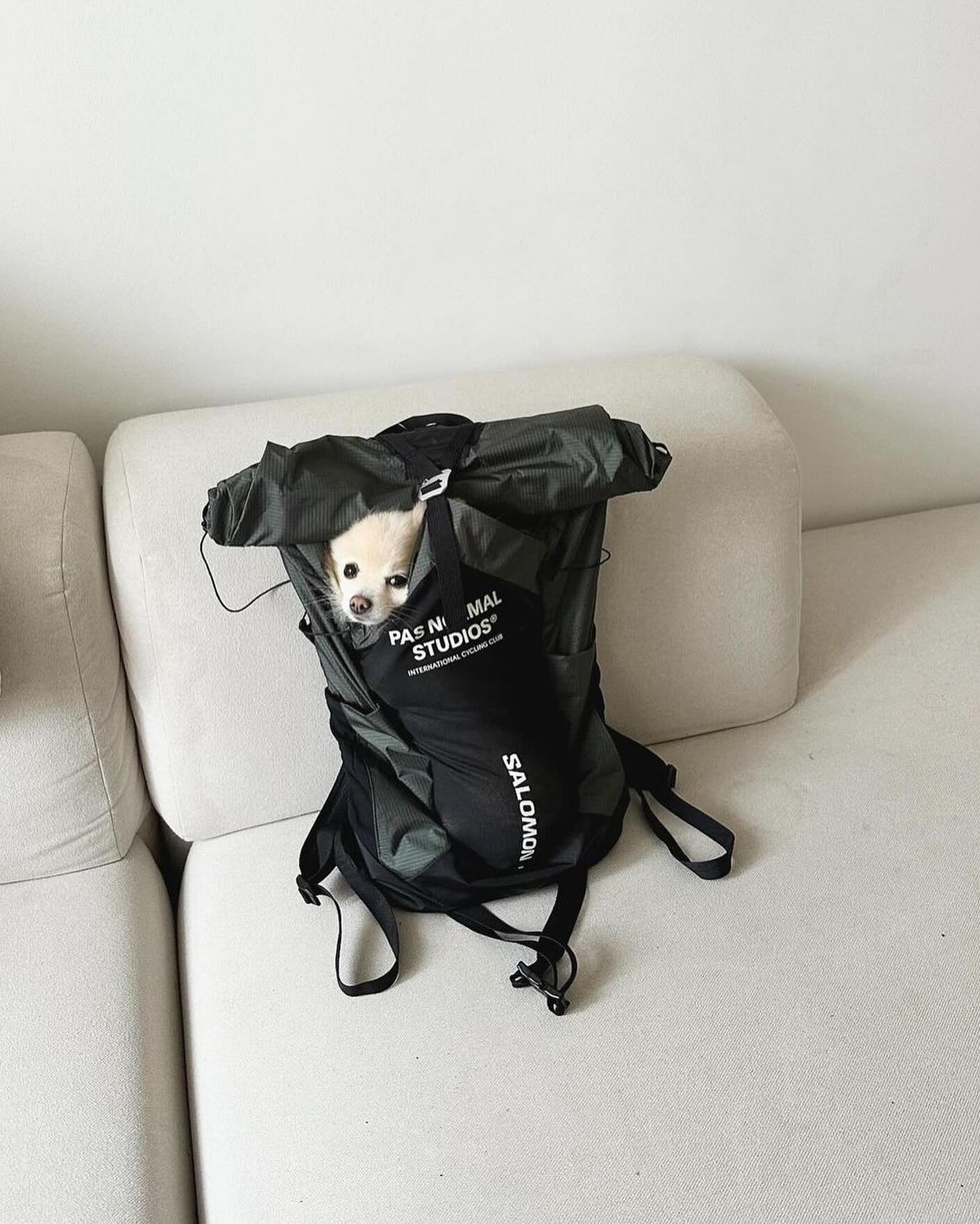 백팩만큼 든든한 게 없다🎒 이미지1