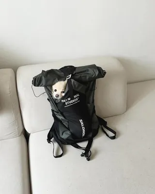백팩만큼 든든한 게 없다🎒 이미지