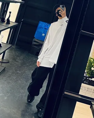 호시 이미지