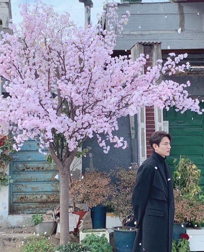 벚꽃 앞에서 사진 남기기📸🌸⁠ 이미지8