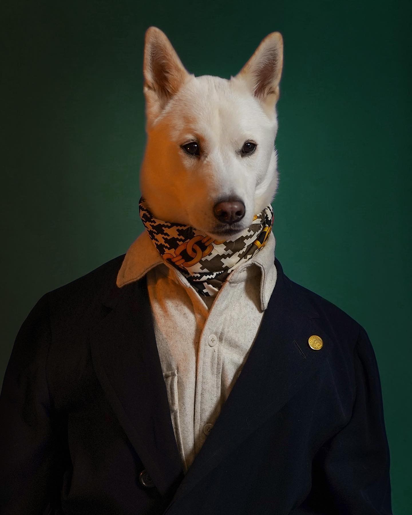 코디 '개' 쩐다🐶💦⁠ 이미지