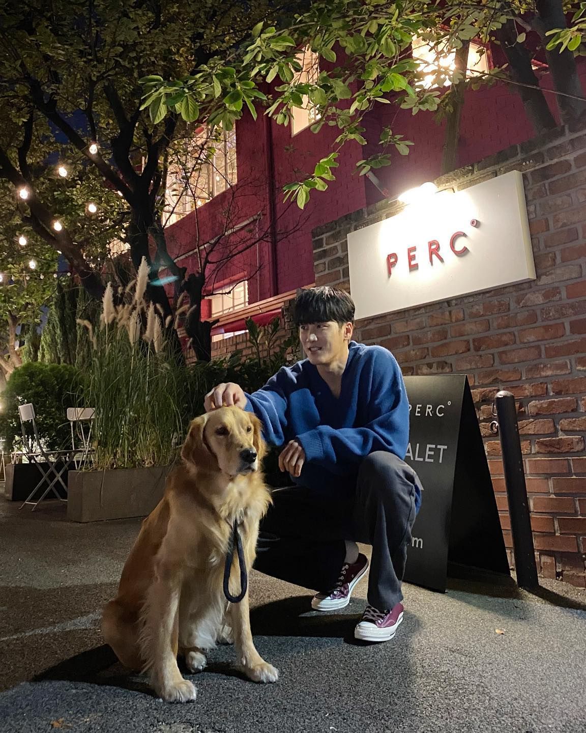 플러팅의 시작: 댕댕이 산책🐕 이미지7