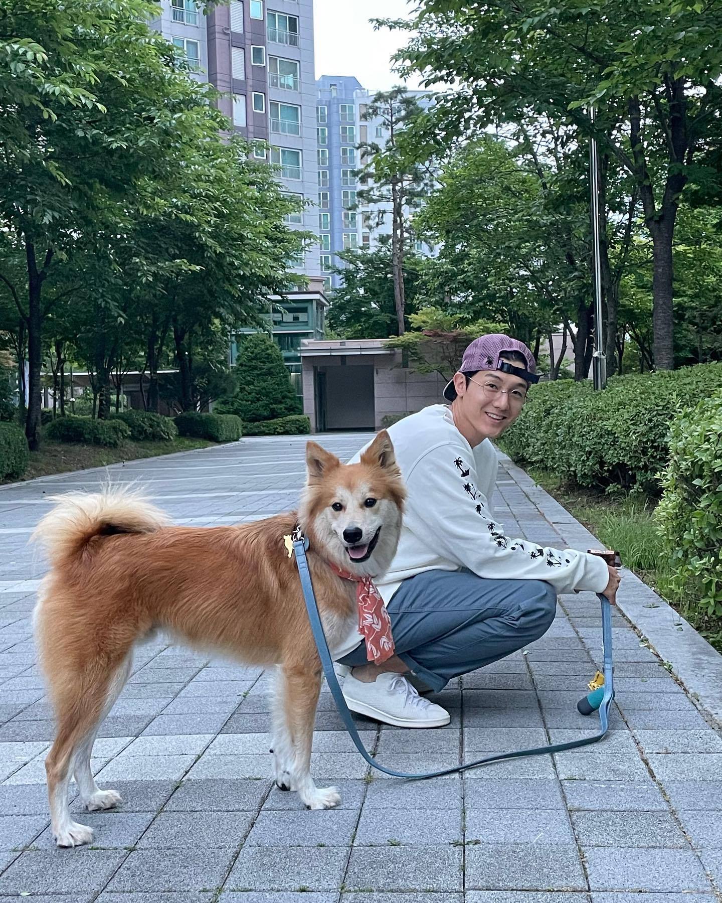 플러팅의 시작: 댕댕이 산책🐕 이미지6