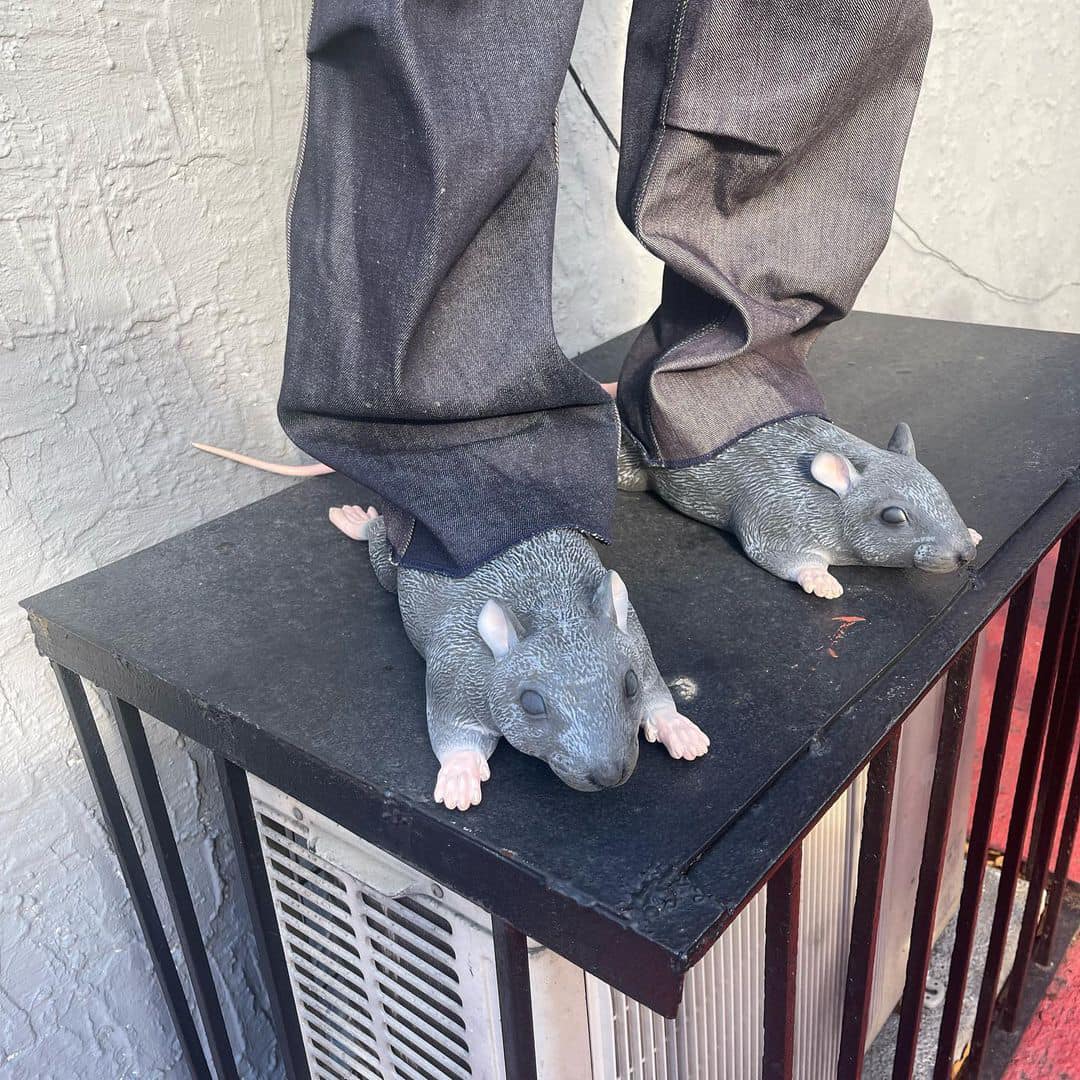 임란포테이토의 쥐 신발🐀👟 이미지