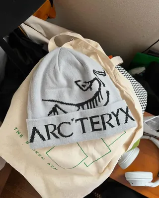 요즘 내가 키우는 새🦅 이미지