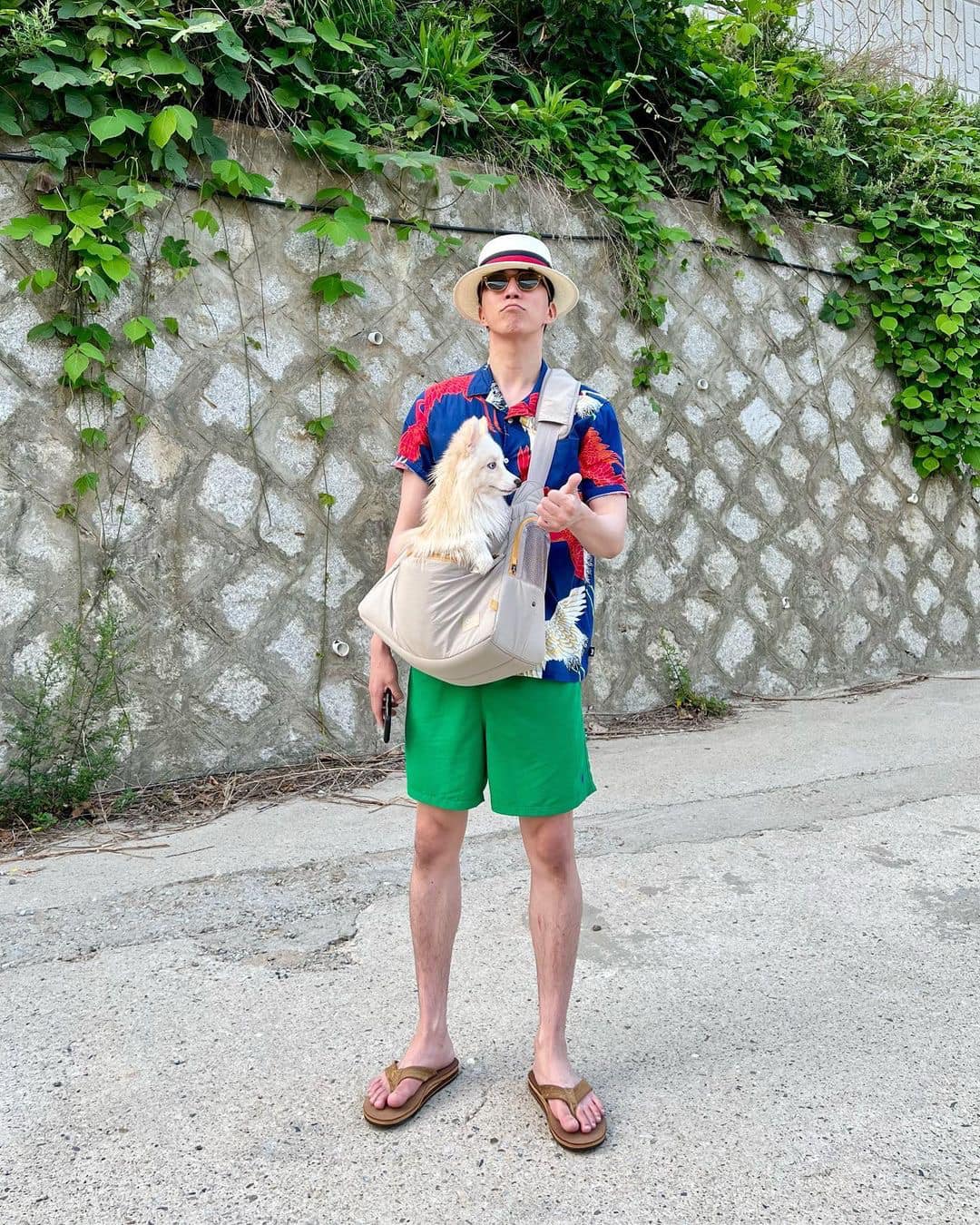 여름 산책룩 신경써야지🐕🐾 이미지