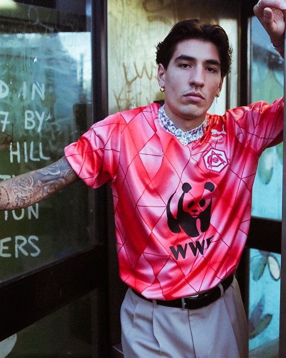 엑토르 베예린 이미지