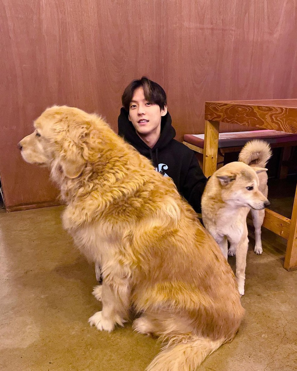 주인아 일어나 산책가야지🐕 이미지7