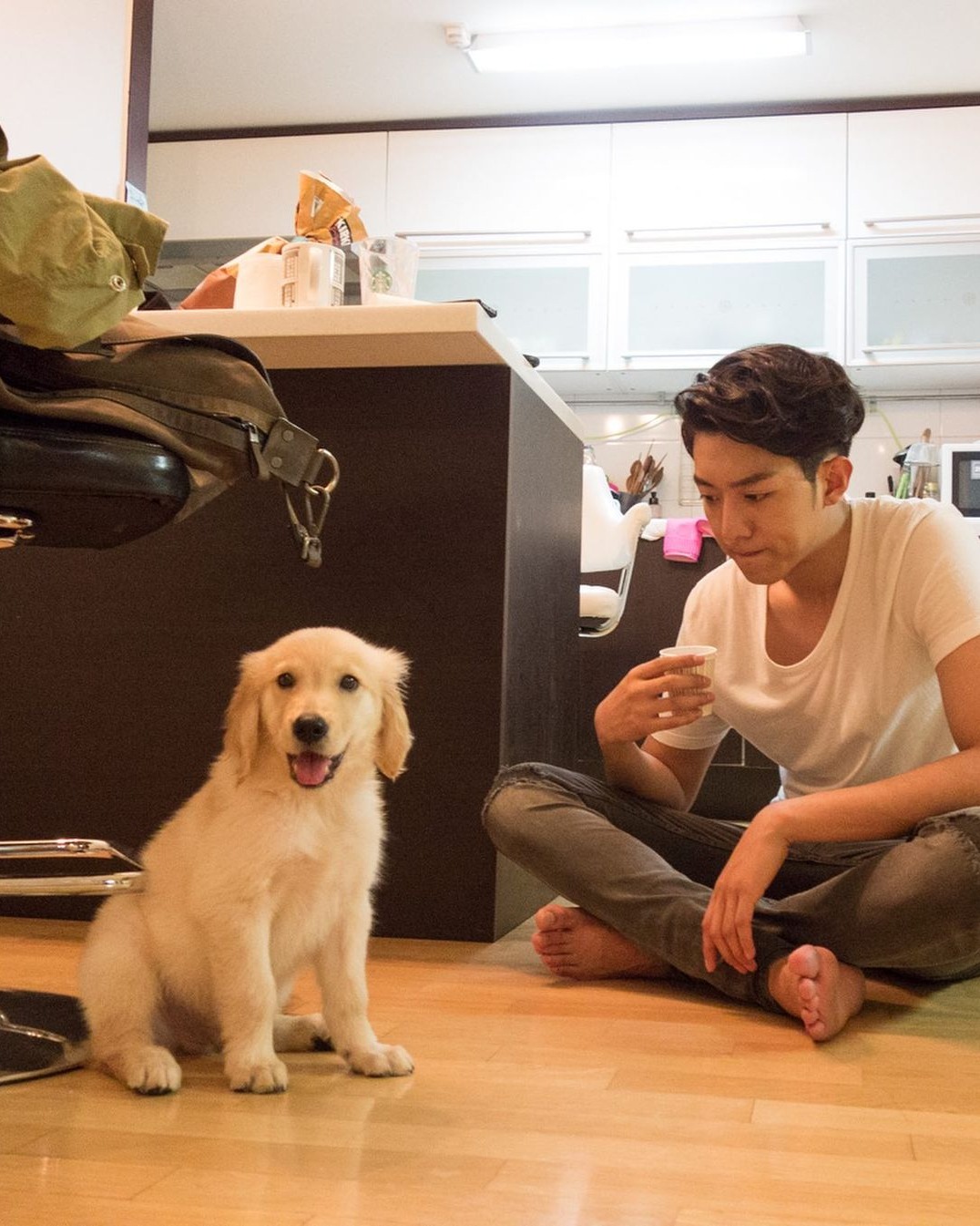 주인아 일어나 산책가야지🐕 이미지8