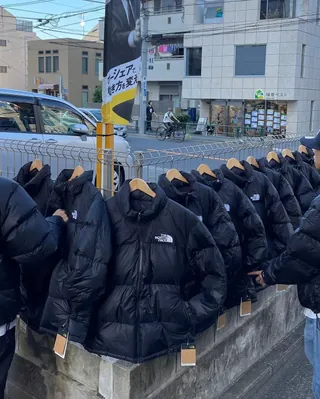 올해도 이견 없는 패딩 대장님👑 이미지