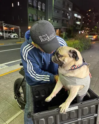 긴팔 삼선 가자고🥷🏻 이미지