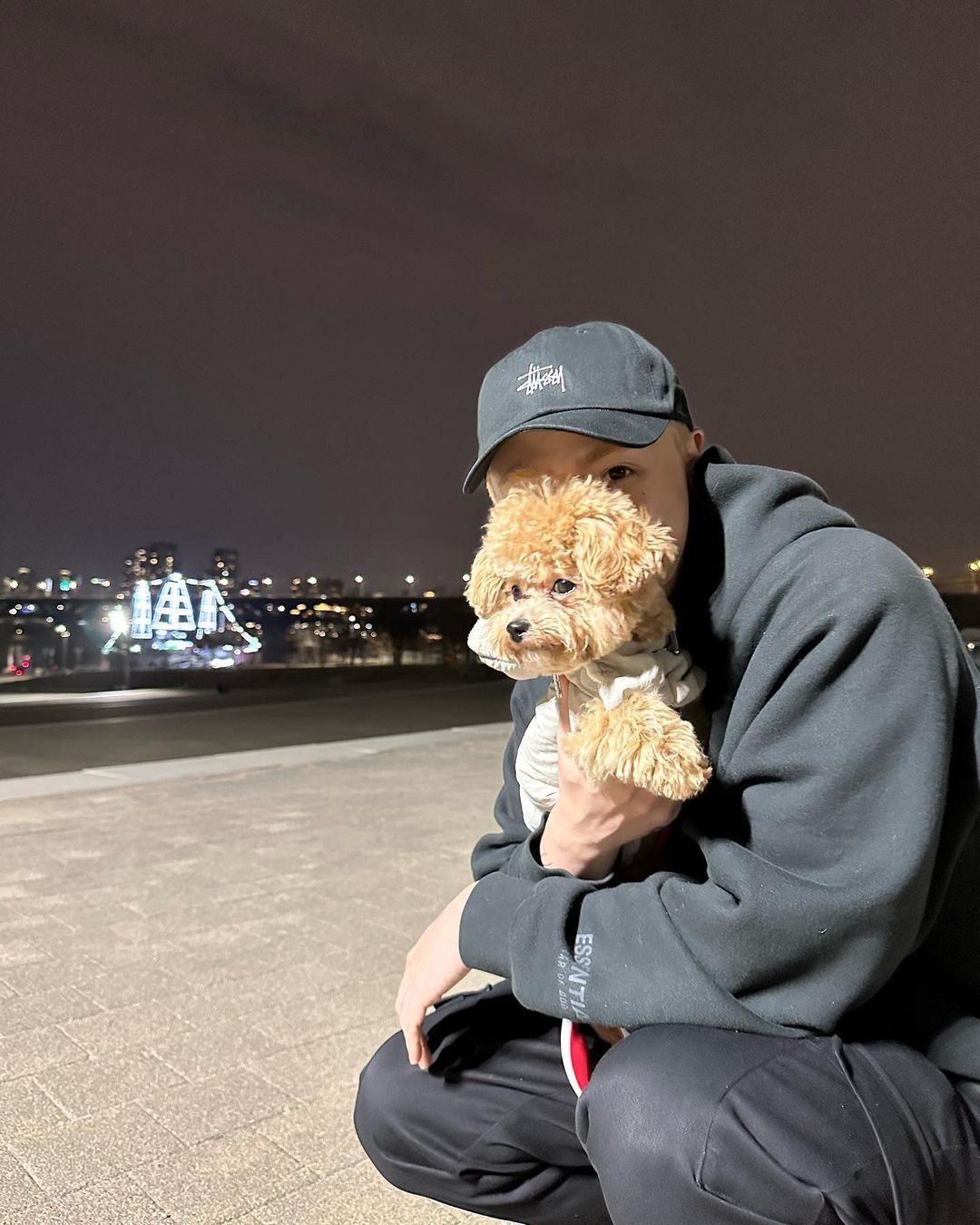 주인아 일어나 산책가야지🐕 이미지3