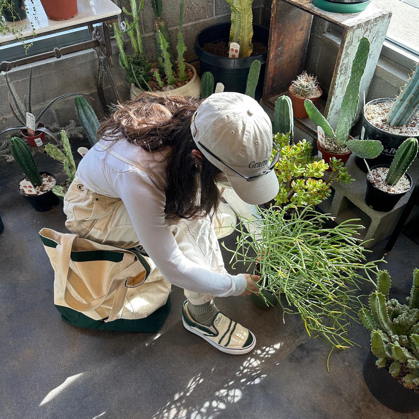 탐나는 자연친화 반스🍃 이미지"
