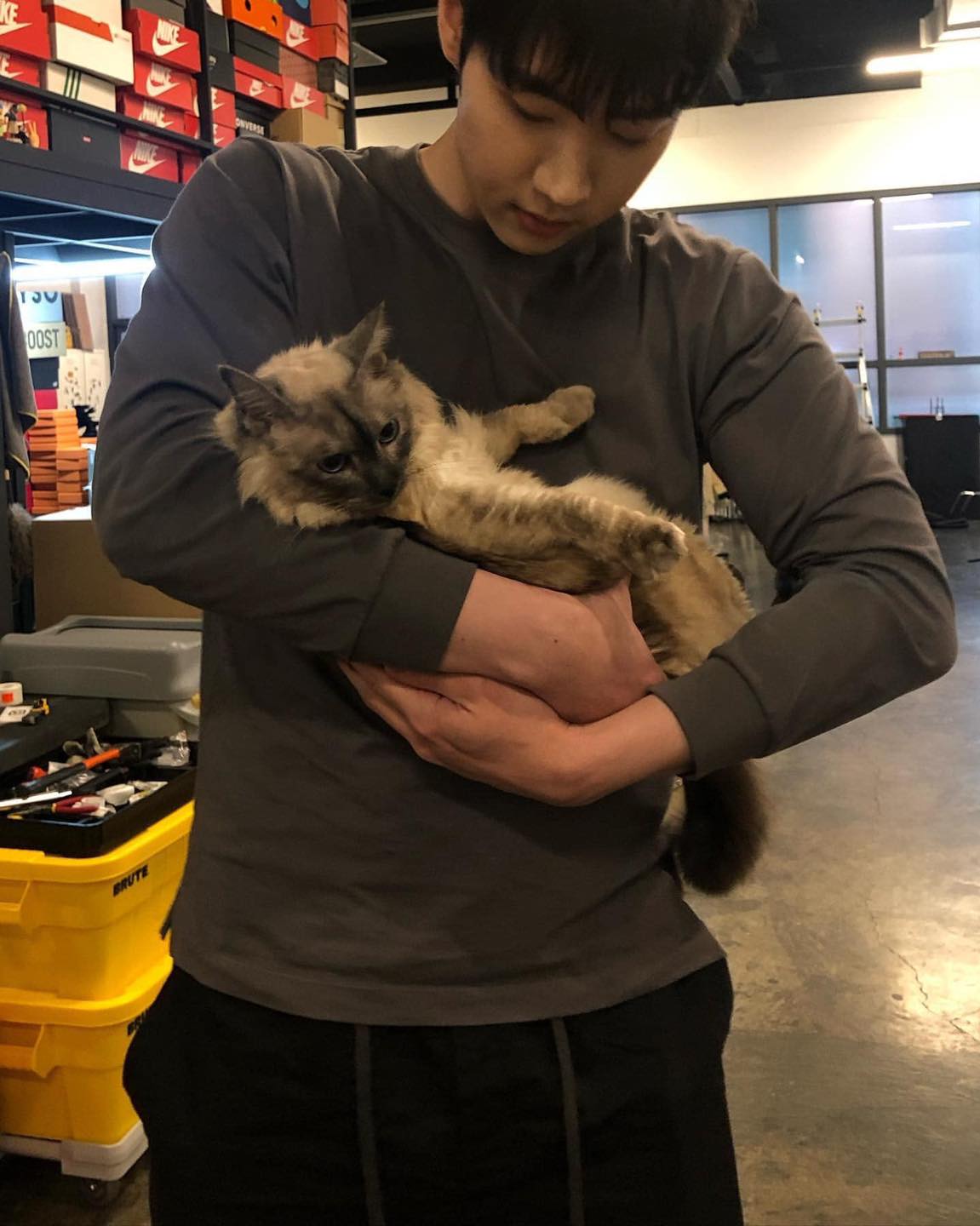 태버처럼 머슬핏 가자💦 이미지4