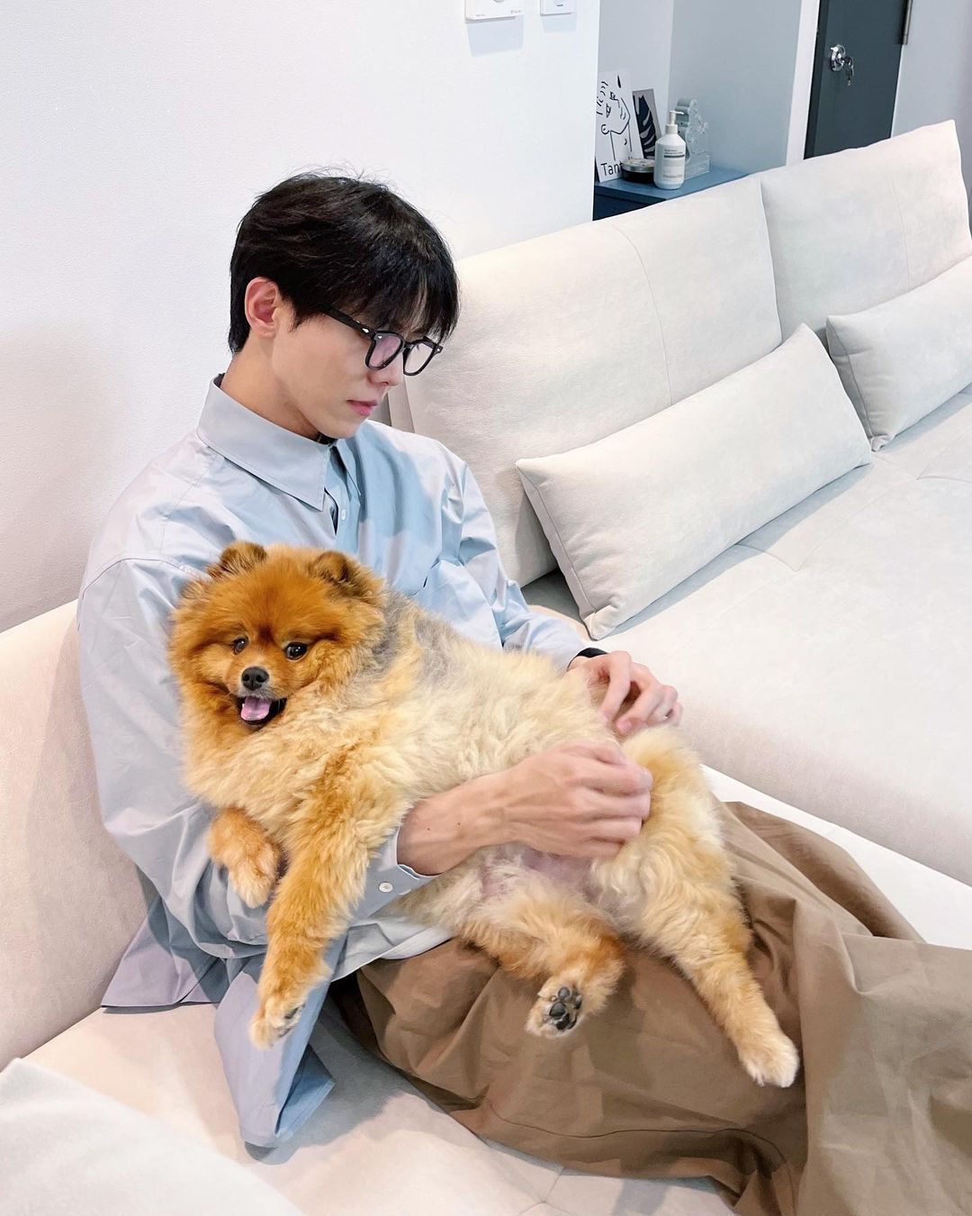 주인아 일어나 산책가야지🐕 이미지6
