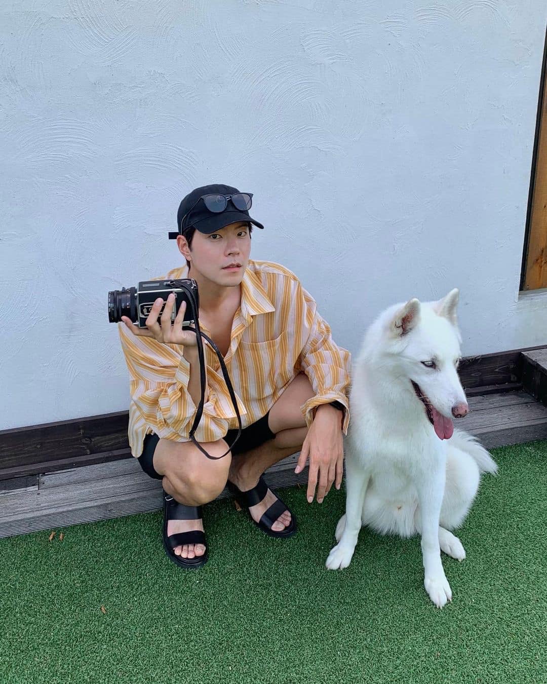 여름 산책룩 신경써야지🐕🐾 이미지4