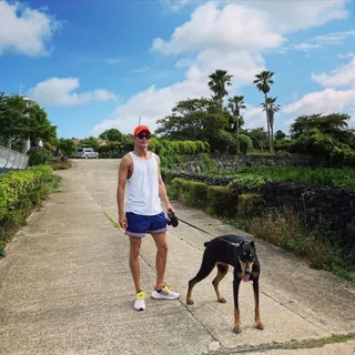 여름 산책룩 신경써야지🐕🐾 이미지