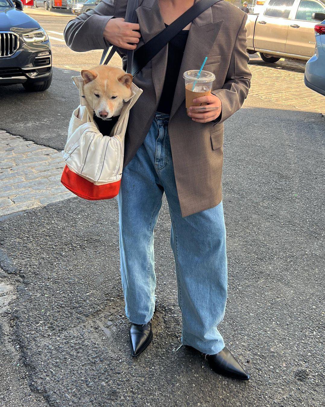 헬무트랭 디렉터가 된 피터도 패션♣️ 이미지4