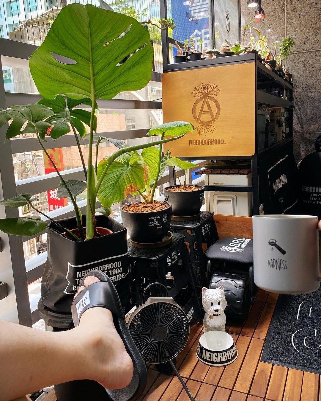 남자의 식물 사랑🌵 이미지3