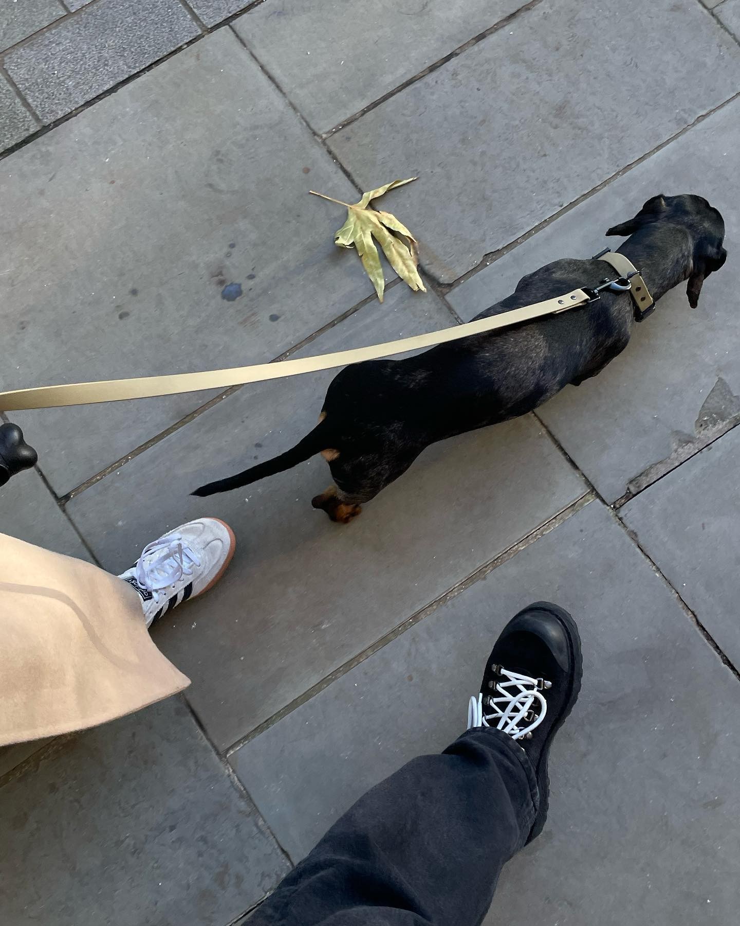 요즘 좀 치는 디에메 신발🥾 이미지