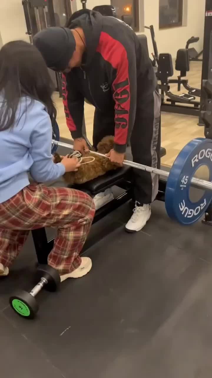 개도 하는데 좀 해야하지 않겄냐🐶​ 이미지
