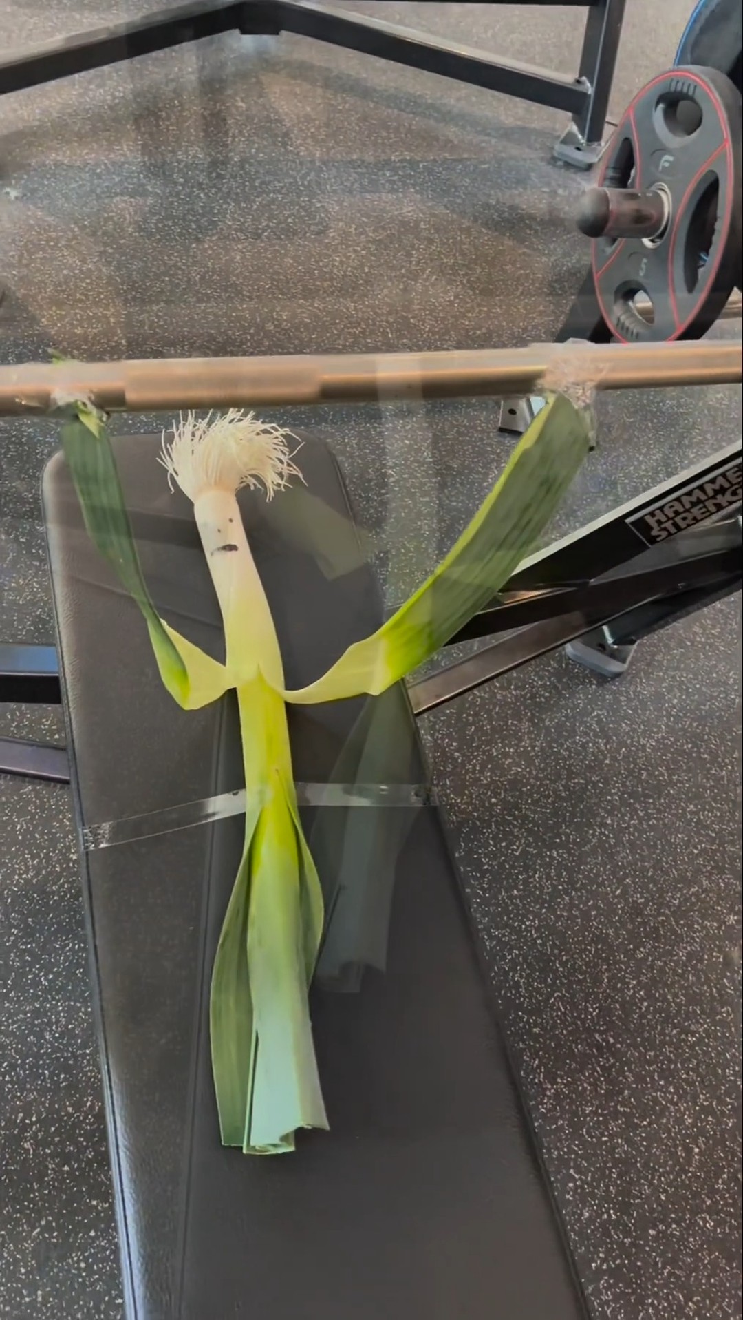 오늘은 가슴운동 하는날..🏋️💪 이미지