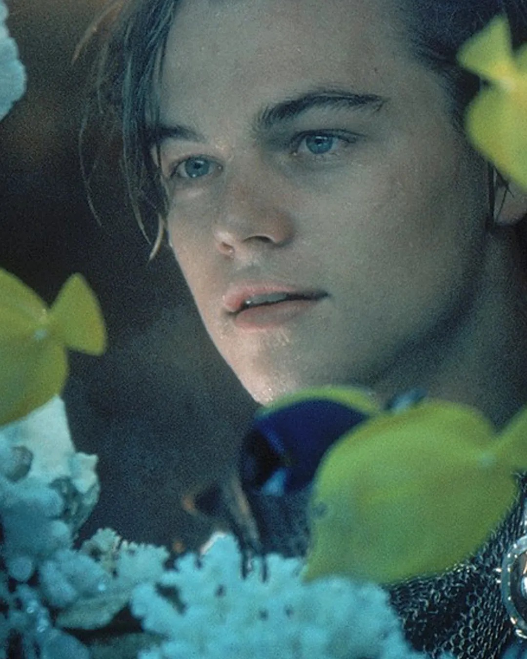 역사상 최강의 꽃미남, 레오나르도 디카프리오의 리즈시절💫🥀

4살 무렵부터 CF에 출연하며 연기를 시작해 ‘타이타닉’, ‘인셉션’, ‘레버넌트’ 등 수많은 할리우드 대표작을 가진 슈퍼스타 레오나르도 디카프리오. 특히, ‘타이타닉’은 개봉한지 25년이 넘은 지금까지도 박스오피스 순위 4위에 들 정도로 세기의 걸작이라는 평을 들으며 디카프리오를 세계 최고의 인기스타 자리에 오르게 했죠. 물론 그 이후로도 꾸준히 뛰어난 연기력을 보이며 2016년 ‘레버넌트’로 아카데미 남우주연상을 수상하고, 지금은 명실상부한 할리우드 티켓 파워 1위의 배우 면모를 보여주고 있습니다🎬

최근에는 입금 전과 후가 다른 모습으로 종종 웃음거리가 되는 레오나르도 디카프리오. 하지만 누구라도 디카프리오의 리즈 시절 외모를 보면 절대 비웃지 못할 텐데요. 톰 크루즈, 브래드 피트와 함께 90년대 할리우드 3대 미남으로 불렸던 디카프리오의 리즈 시절 모습을 확인해 보세요!

1 + 2. 로미오와 줄리엣(1996), 20th Century Fox

3. 토탈 이클립스(1995), New Line Cinema

4. 타이타닉(1997), 20th Century Fox

5. 캐치 미 이프 유 캔(2002), Dreamworks Pictures

6 + 7. 에비에이터(2004), Warner Bros.

8. 디파티드(2006), Warner Bros. 이미지2