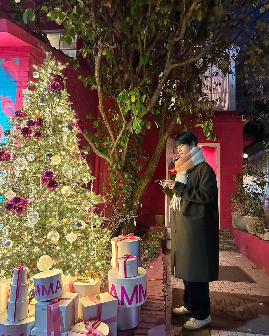 트리 앞에서 인증샷 필수지🎄📸 이미지