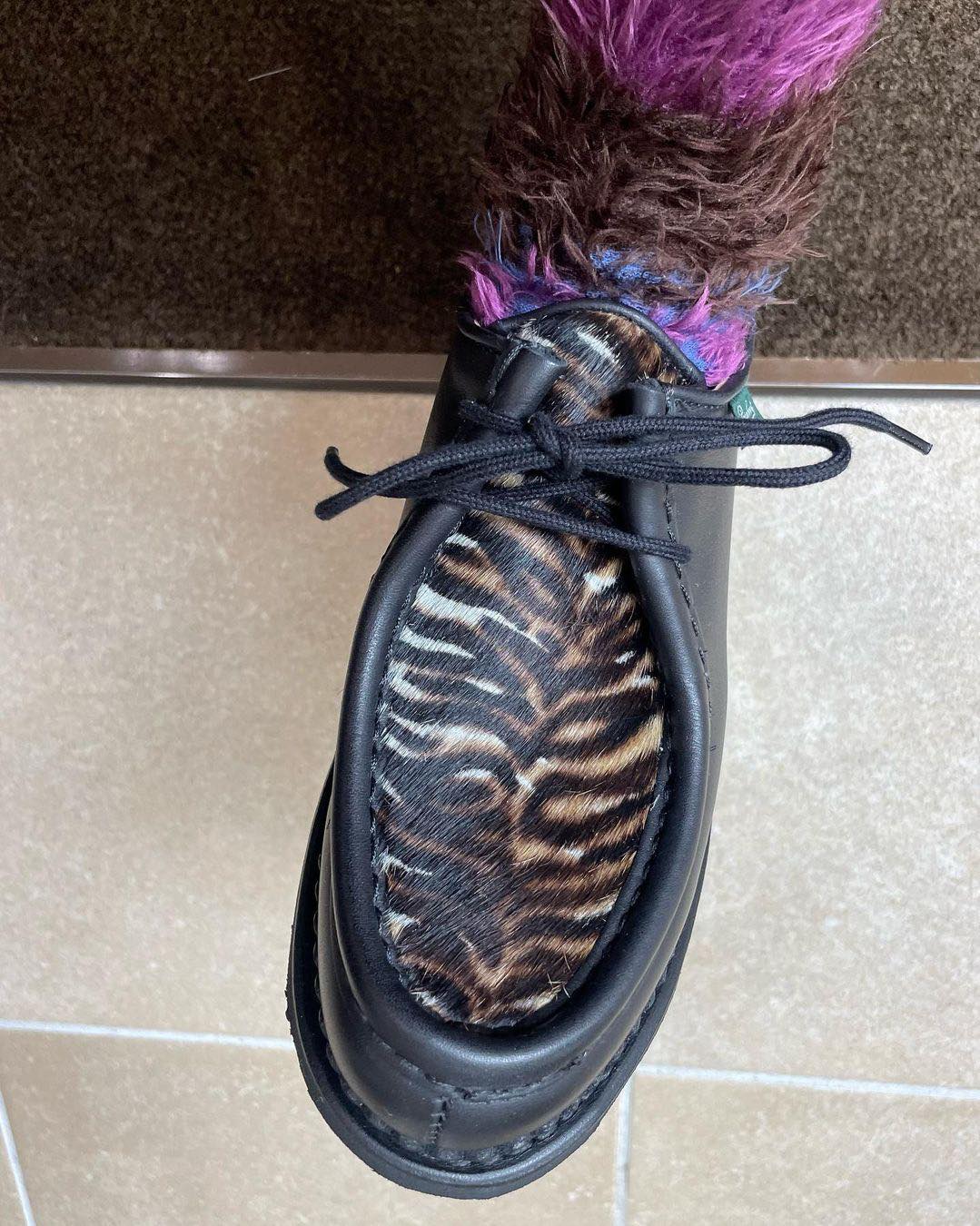 포인트로 제격 송치달린 파라부트🐮 이미지4