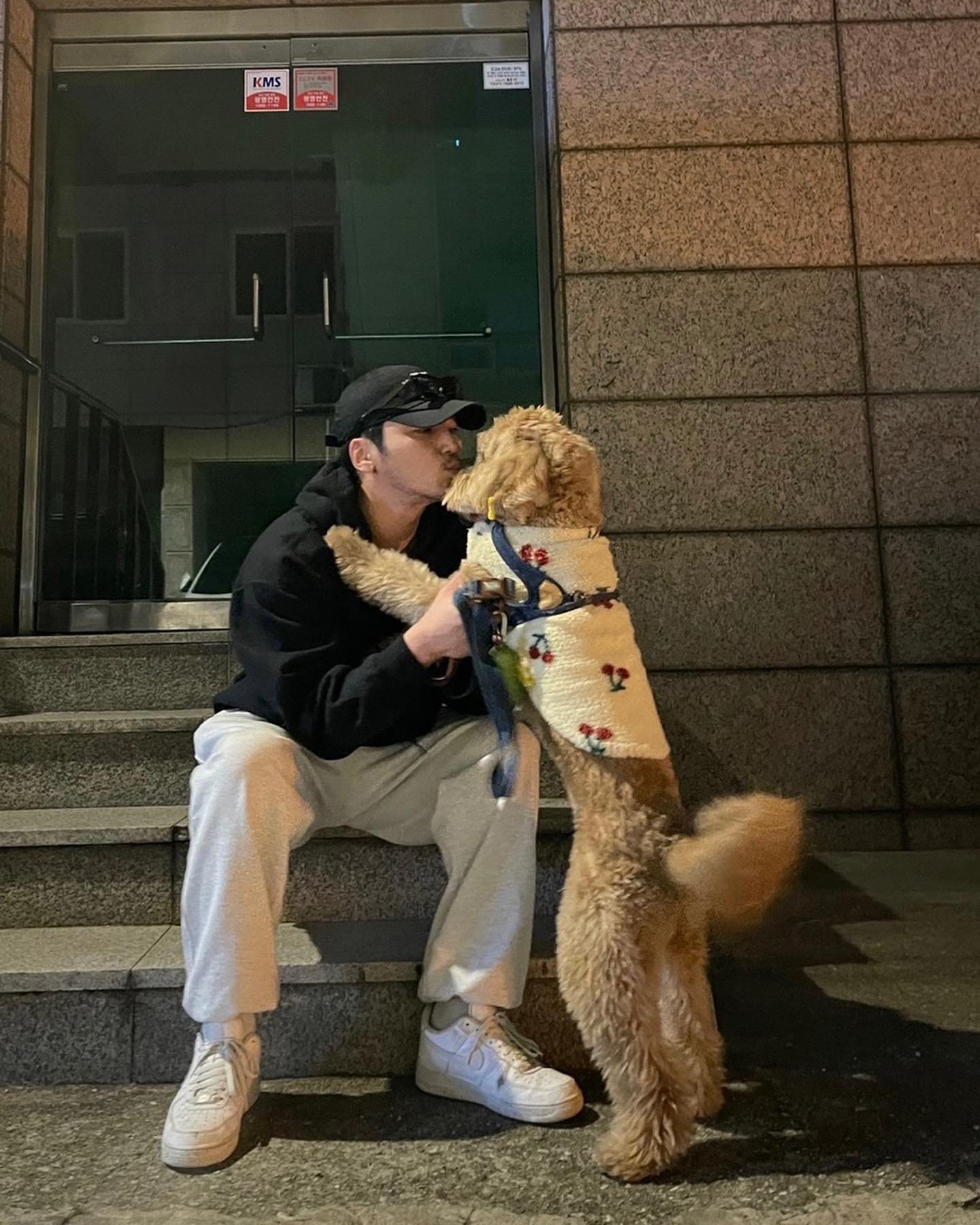 플러팅의 시작: 댕댕이 산책🐕 이미지2