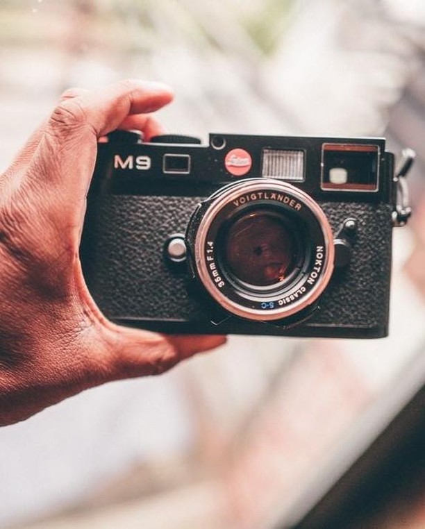 봄은 빨간딱지와 함께🔴 이미지5