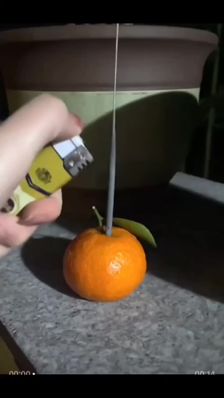 귤🍊과 불꽃놀이🎇가 만나면..​ 이미지