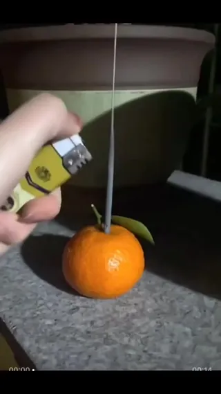귤🍊과 불꽃놀이🎇가 만나면.. 이미지