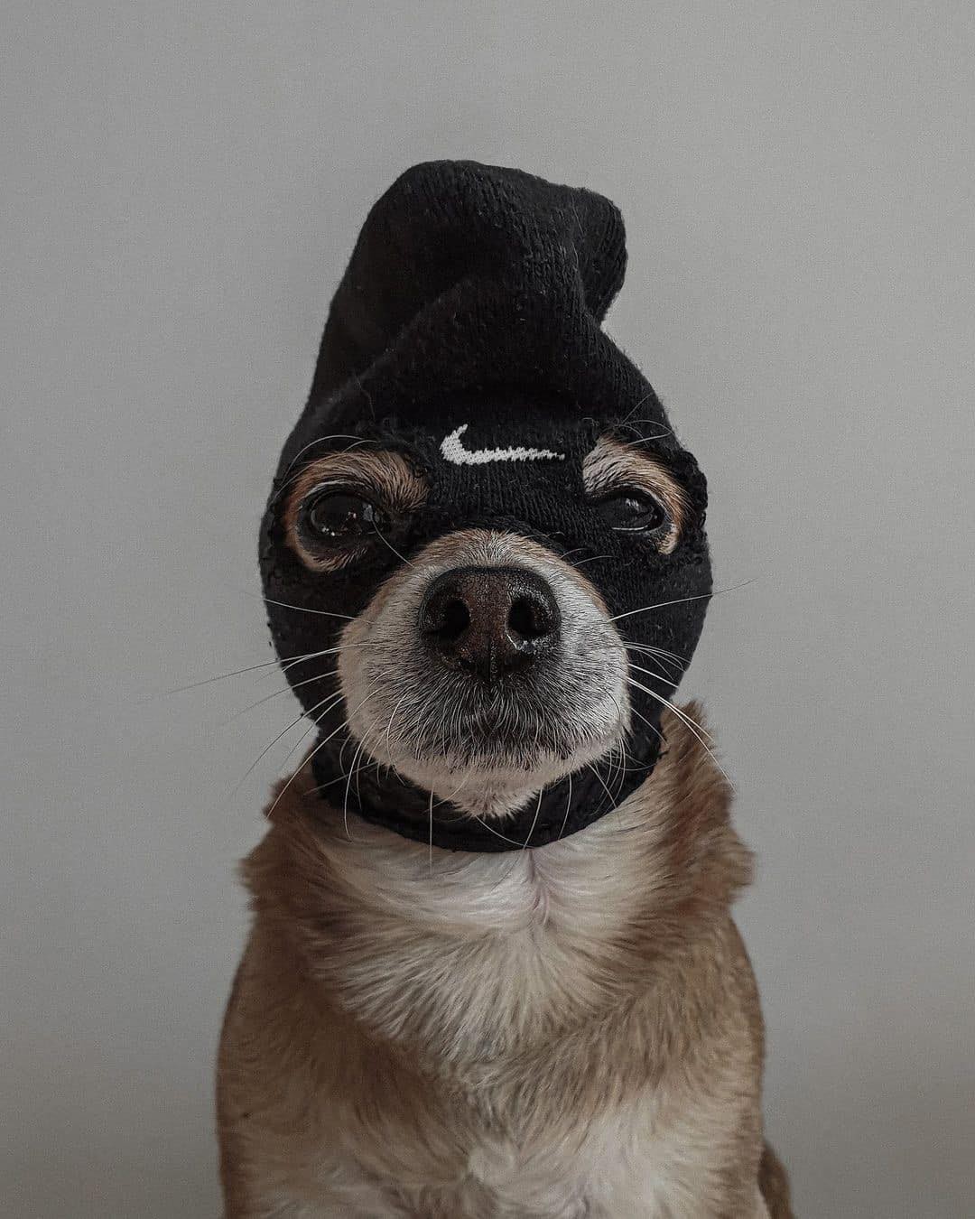 가릴수록 힙해지는🤿 이미지