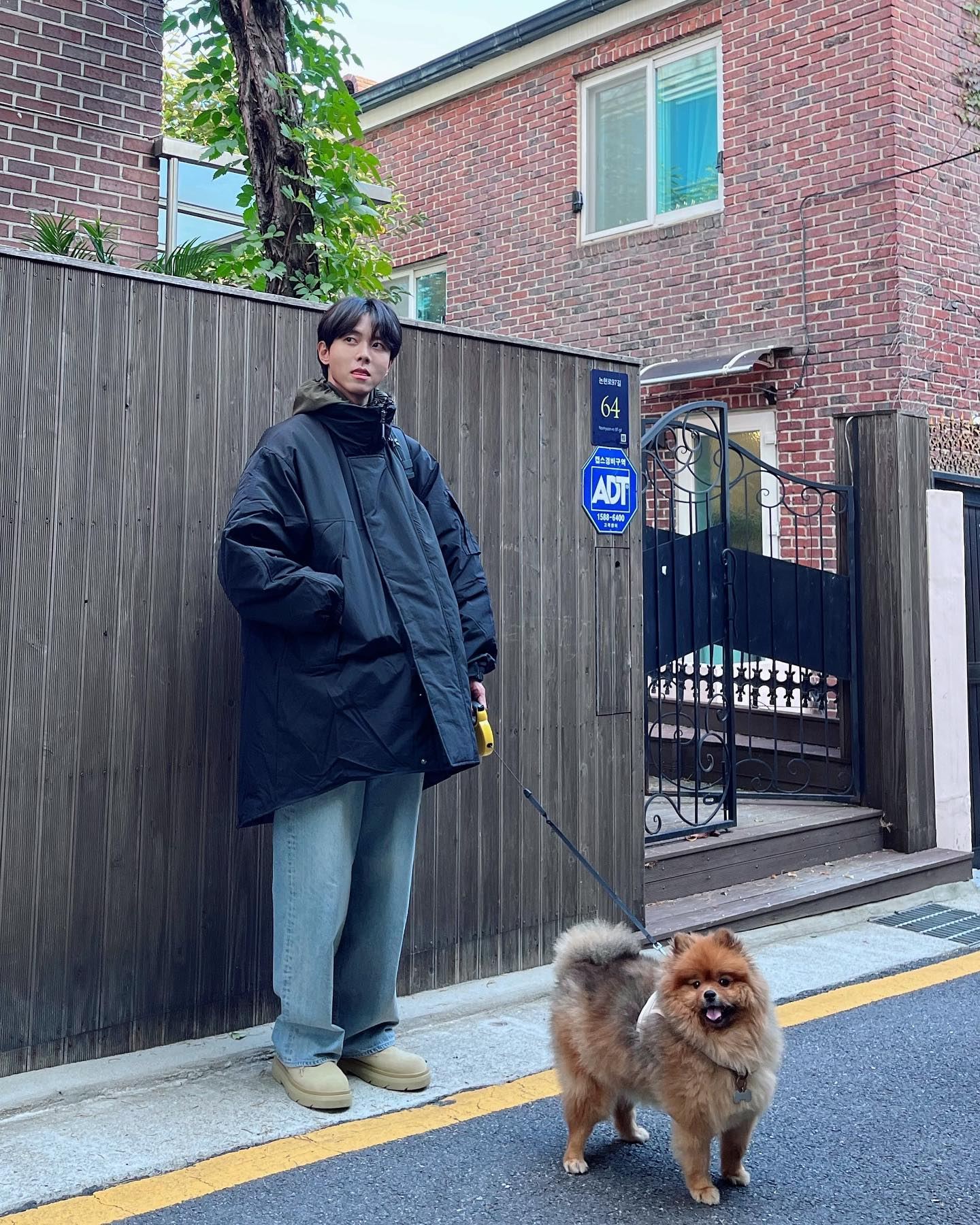 플러팅의 시작: 댕댕이 산책🐕 이미지