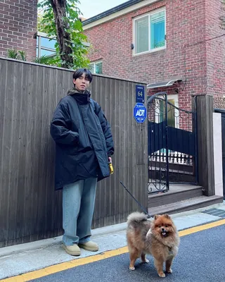 플러팅의 시작: 댕댕이 산책🐕 이미지