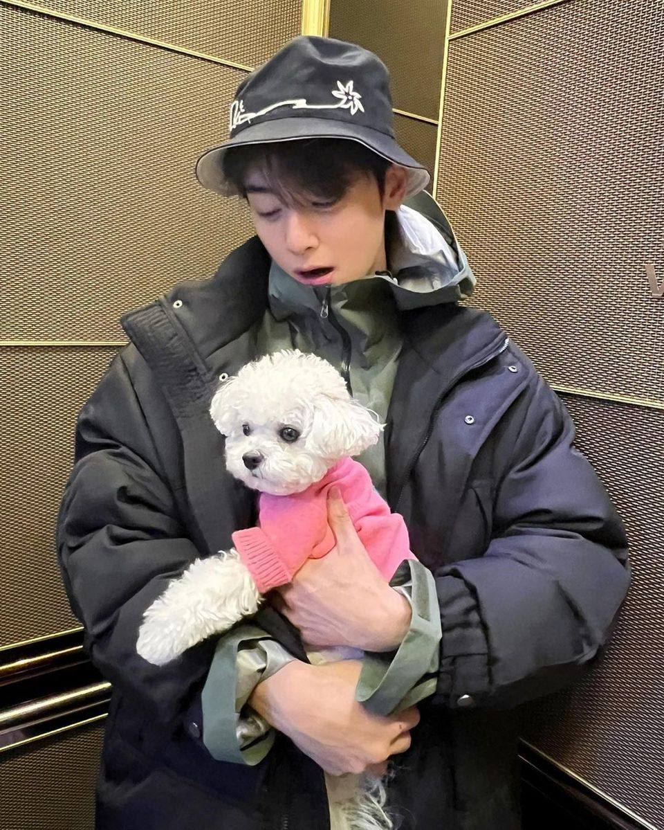 주인아 일어나 산책가야지🐕 이미지
