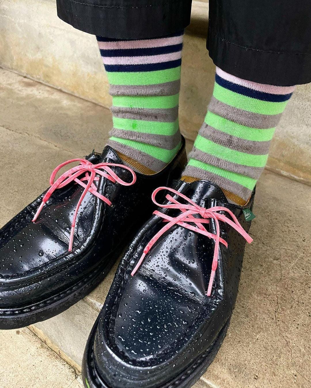 양말센스 필요한 파라부트🌈 이미지