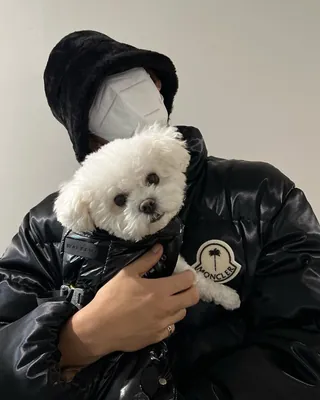 주인아 일어나 산책가야지🐕 이미지