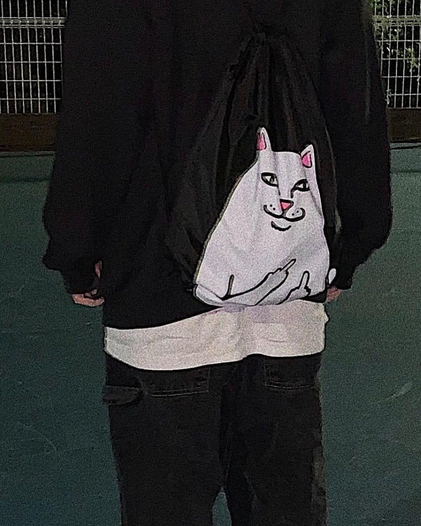 킹받는 고양이 로고 립앤딥😼🔥 이미지5