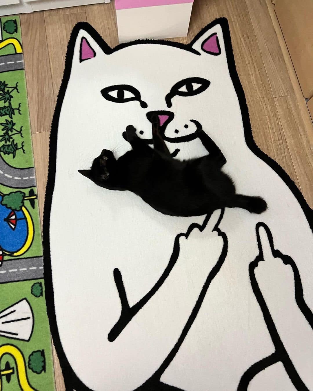 킹받는 고양이 로고 립앤딥😼🔥 이미지9